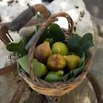 Nyaraló Dei Bruno San Donato di Lecce