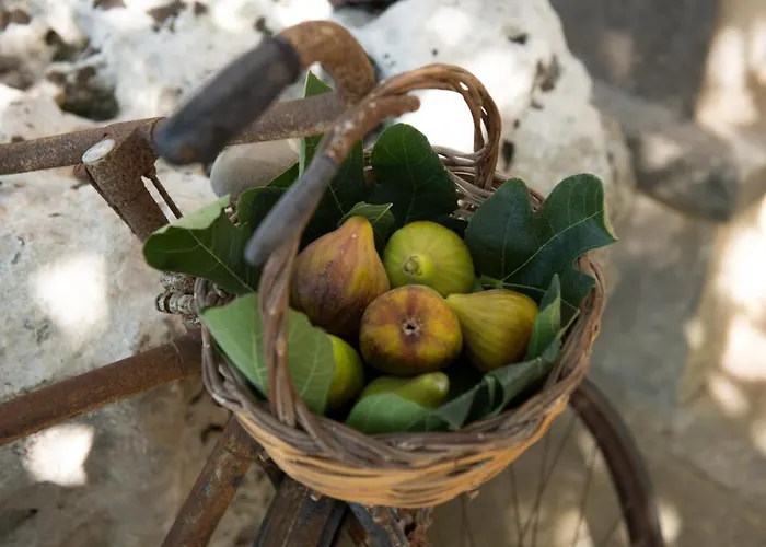 度假居 Dei Bruno San Donato di Lecce